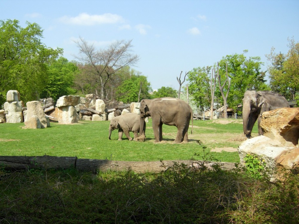 20140425 Zoo (276)