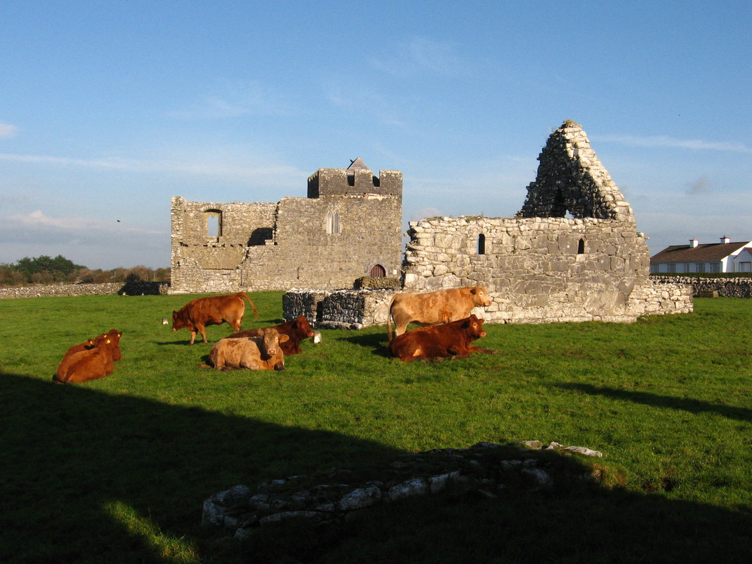 2007 AnSibin Ireland (1390)