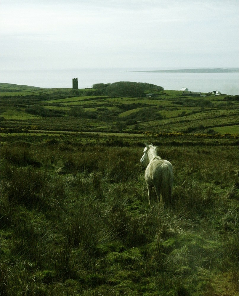2006_AnSibin Ireland (1144)