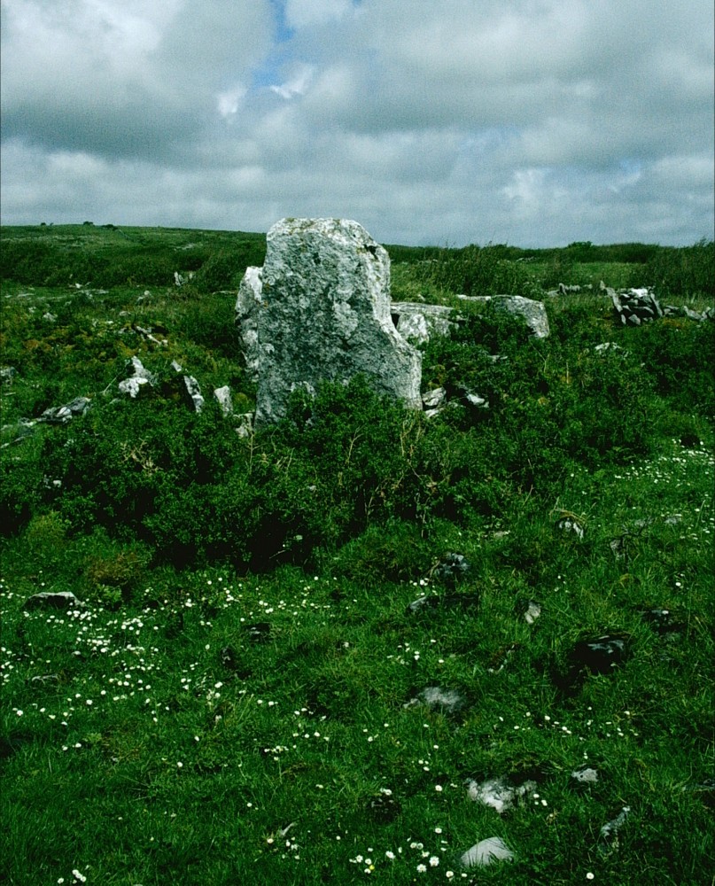 2006_AnSibin Ireland (1181)