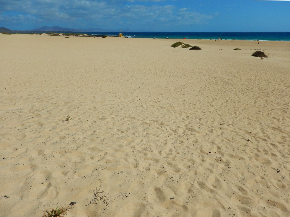 20230919 Corralejo (117)