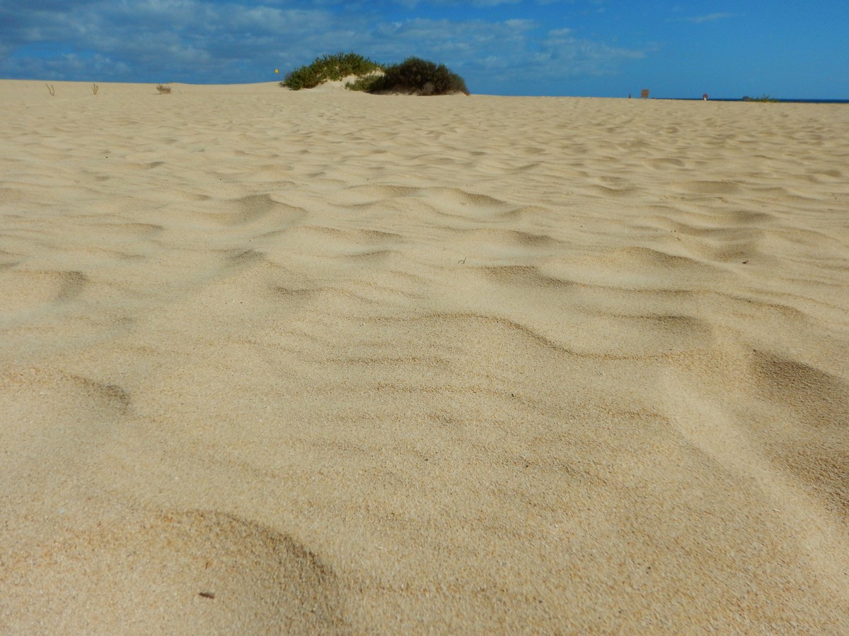 20230919 Corralejo (118)