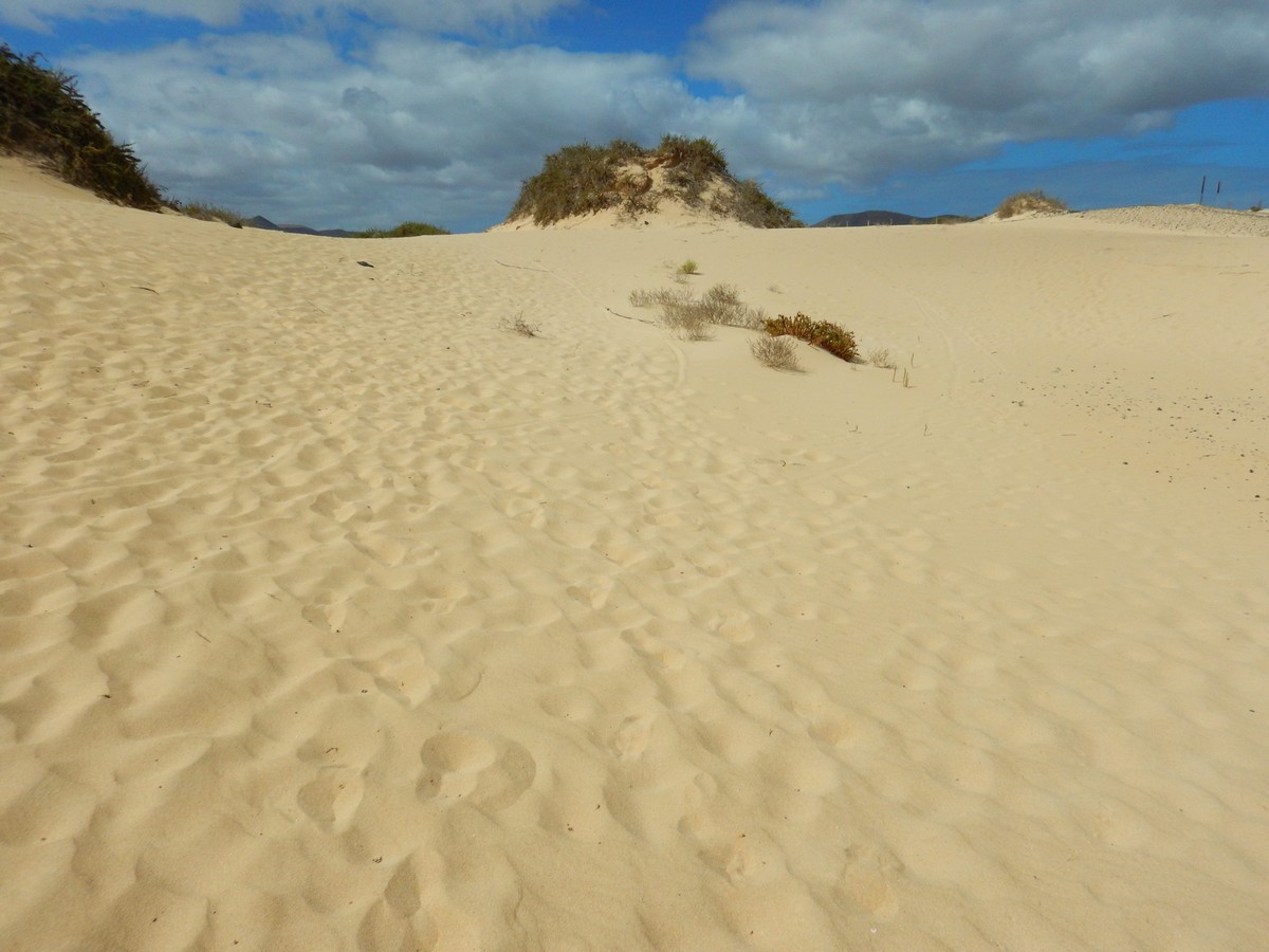 20230919 Corralejo (136)