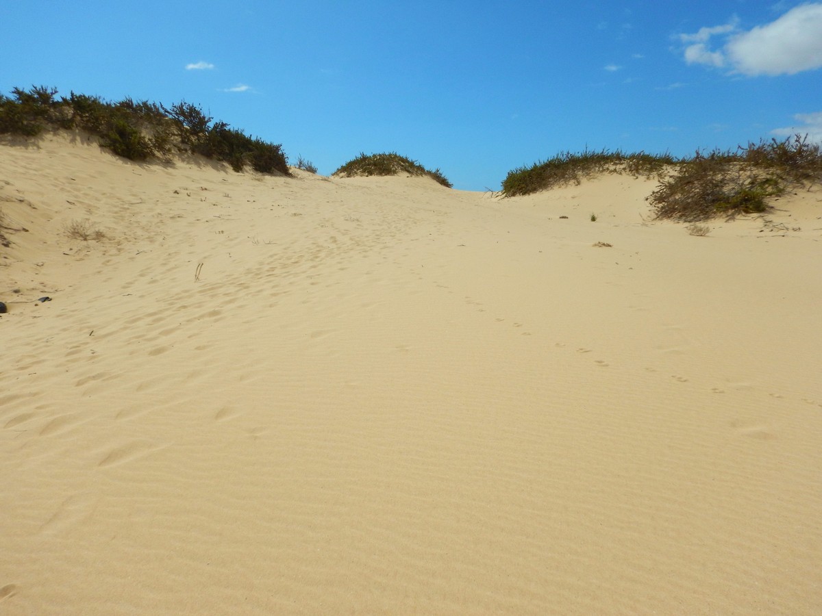 20230919 Corralejo (137)