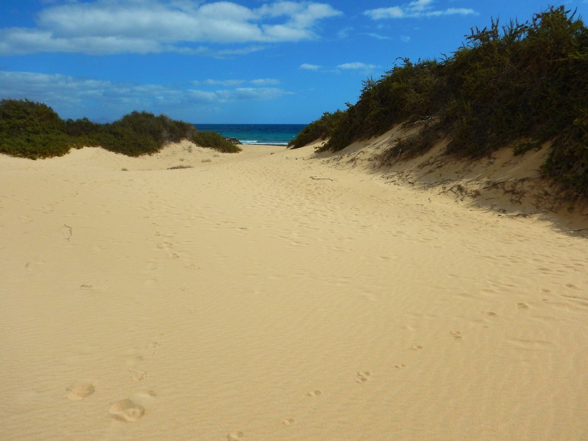 20230919 Corralejo (138)