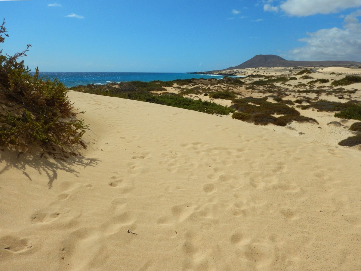 20230919 Corralejo (139)