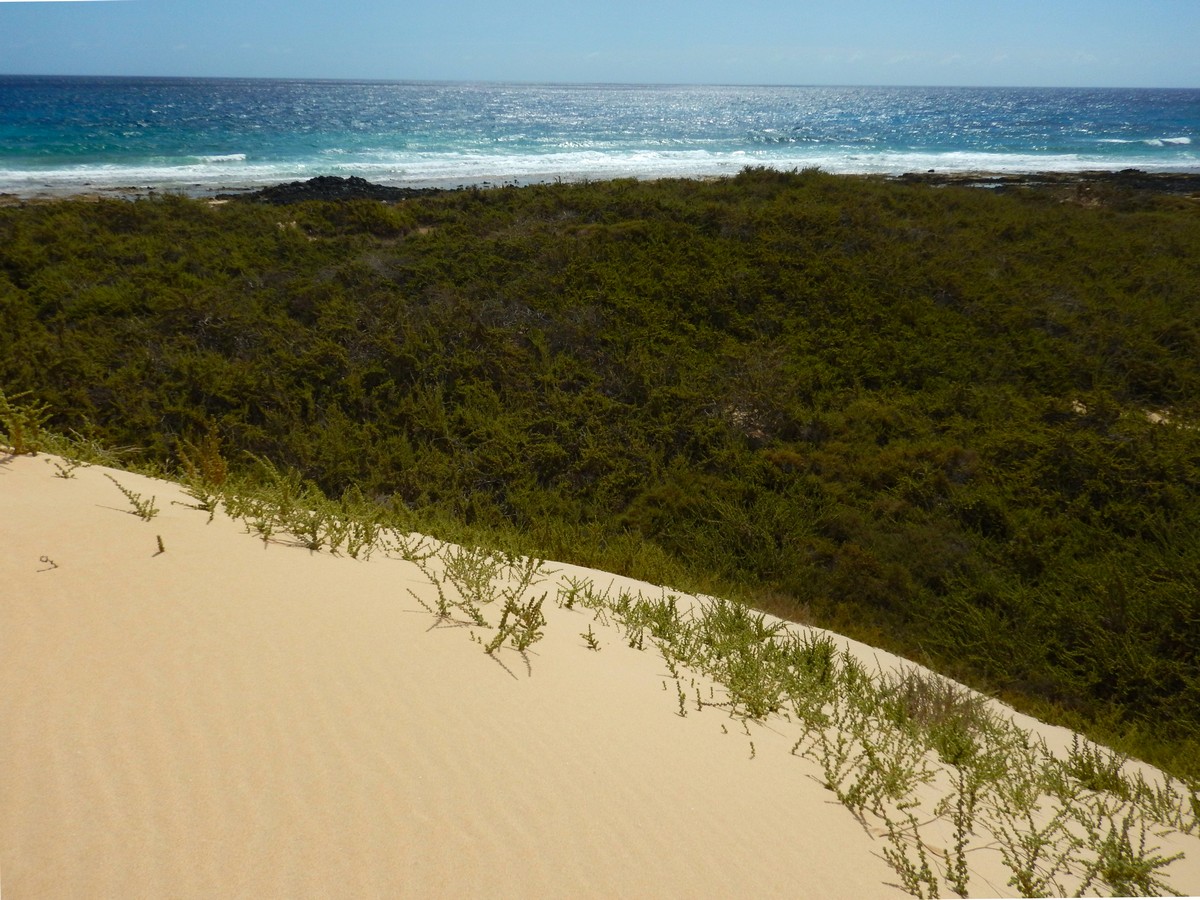 20230919 Corralejo (142)