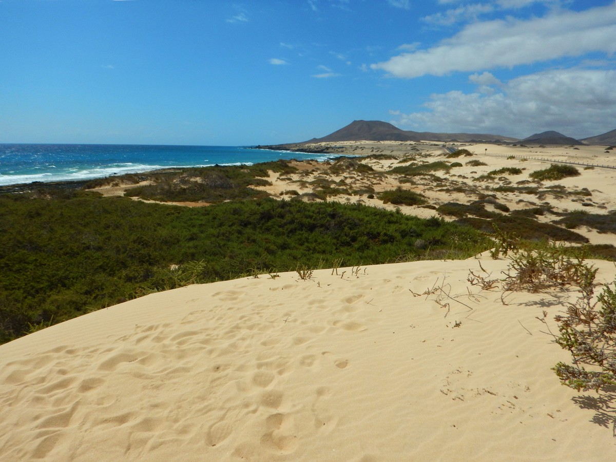 20230919 Corralejo (143)