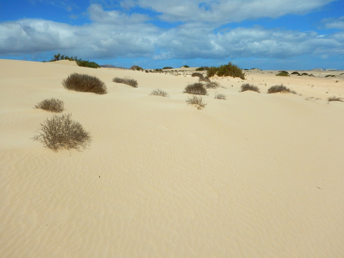 20230919 Corralejo (171)