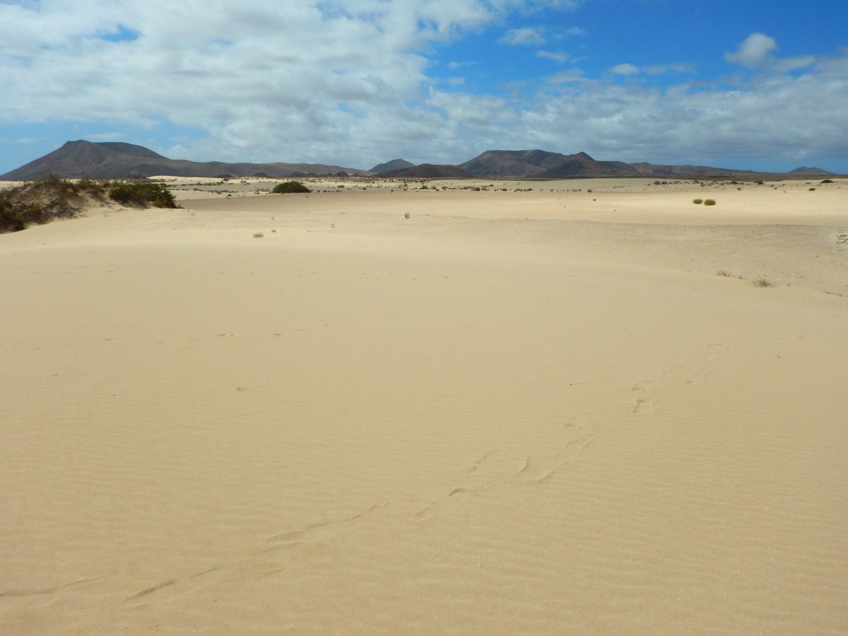 20230919 Corralejo (172)