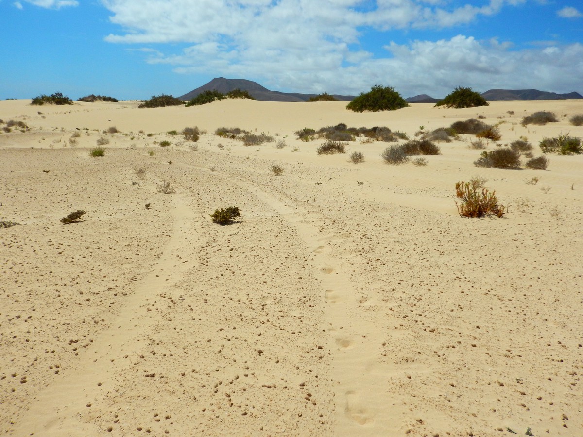 20230919 Corralejo (179)