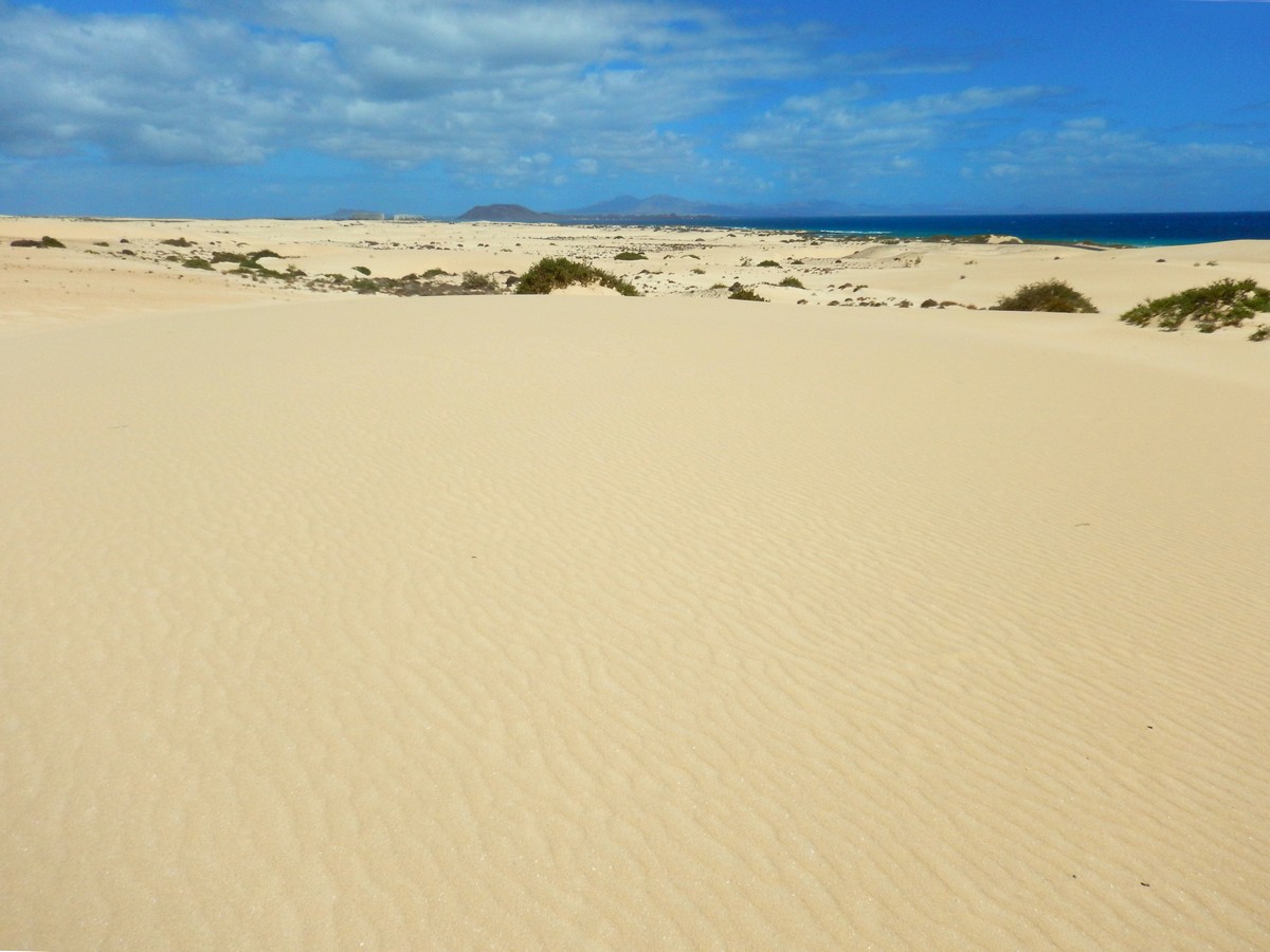 20230919 Corralejo (185)