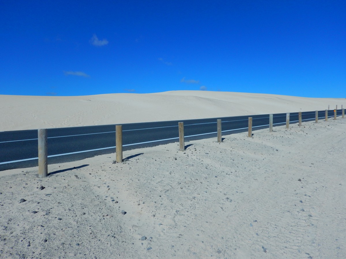 20250120 1 Corallejo (22)