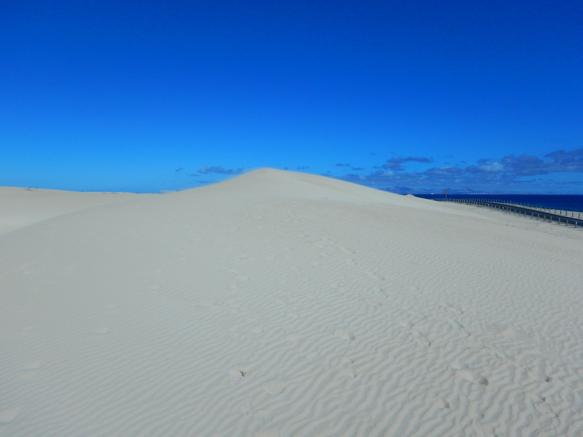 20250120 1 Corallejo (25)