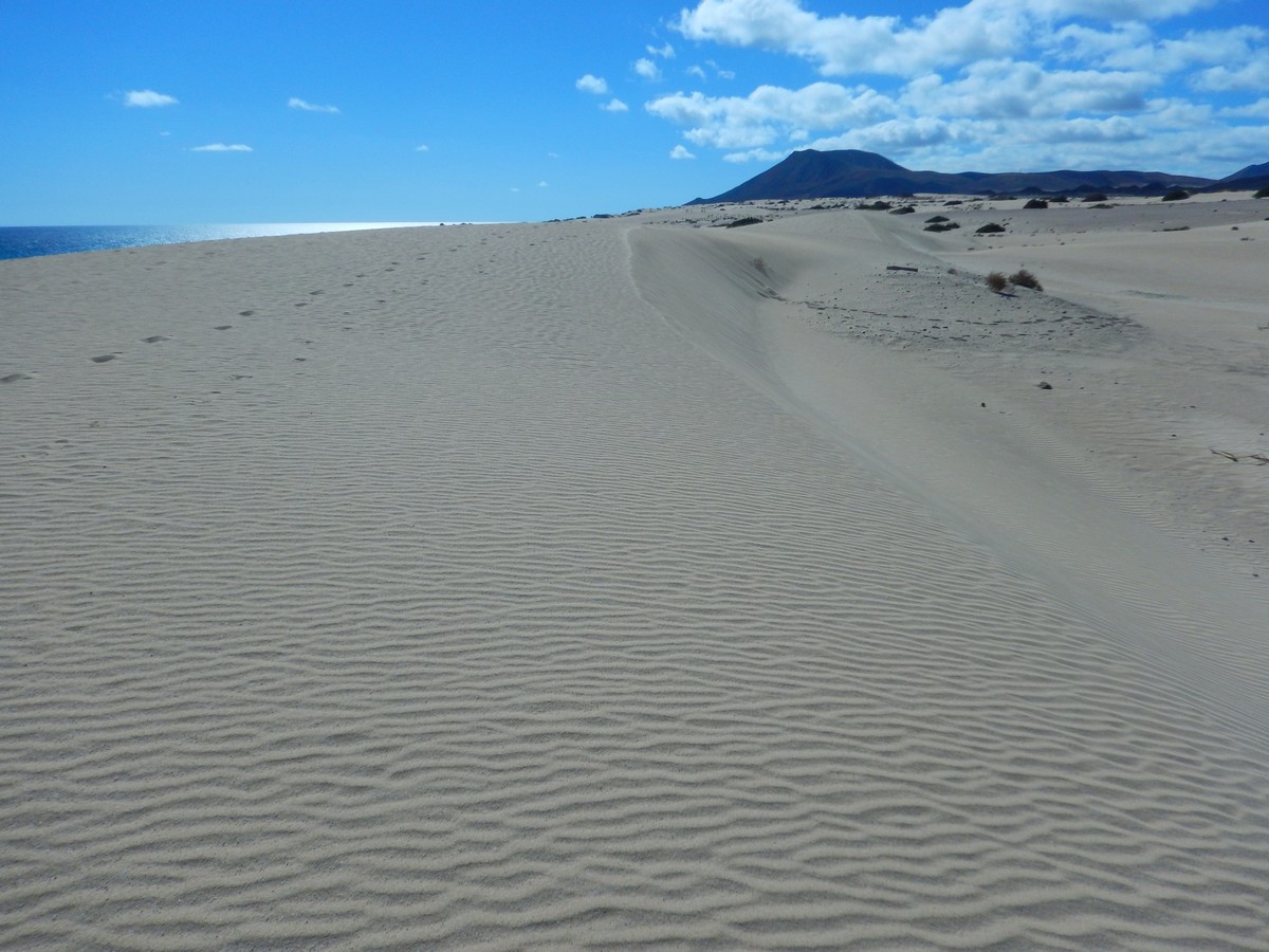 20250120 1 Corallejo (31)