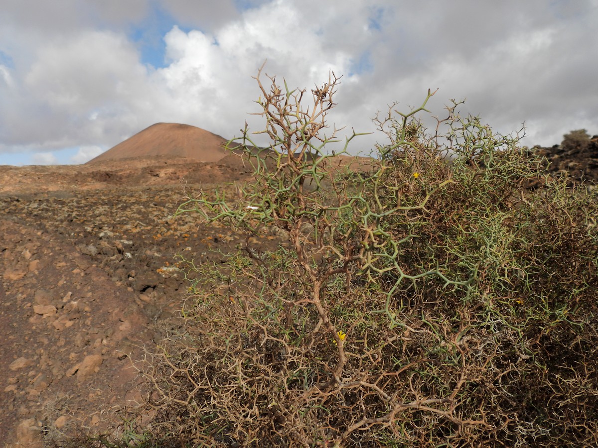 20250122 1 Arrabales (17)