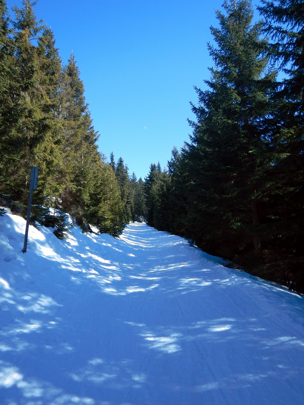 20250306 Dvoracky (22)