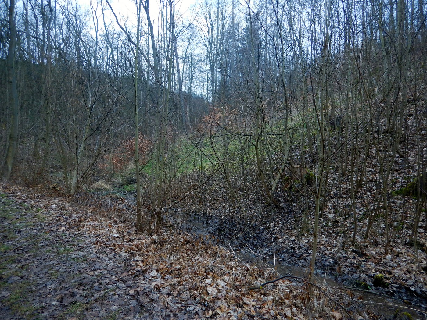 20250323 Myko Dalejske (25)
