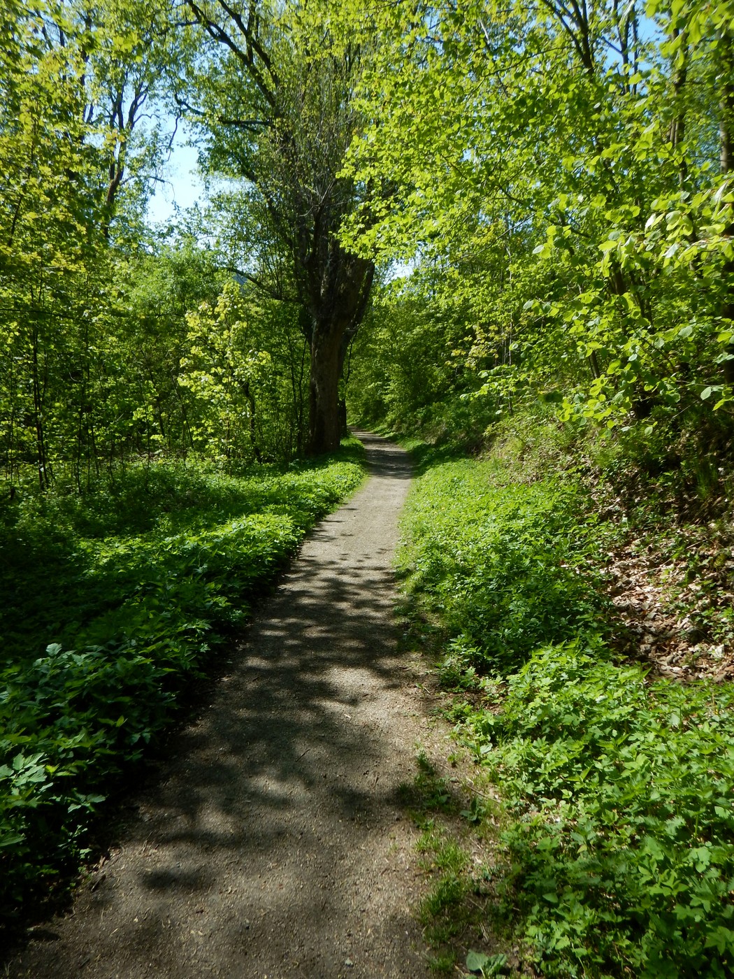 20250502 Smrzovka (11)