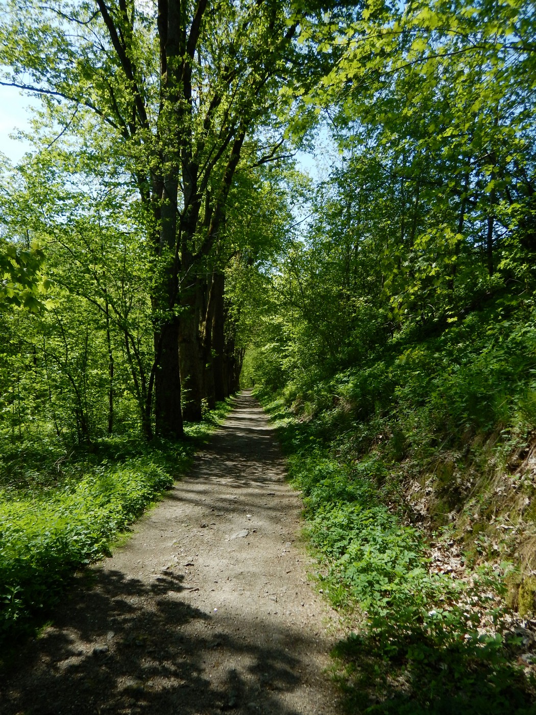 20250502 Smrzovka (12)