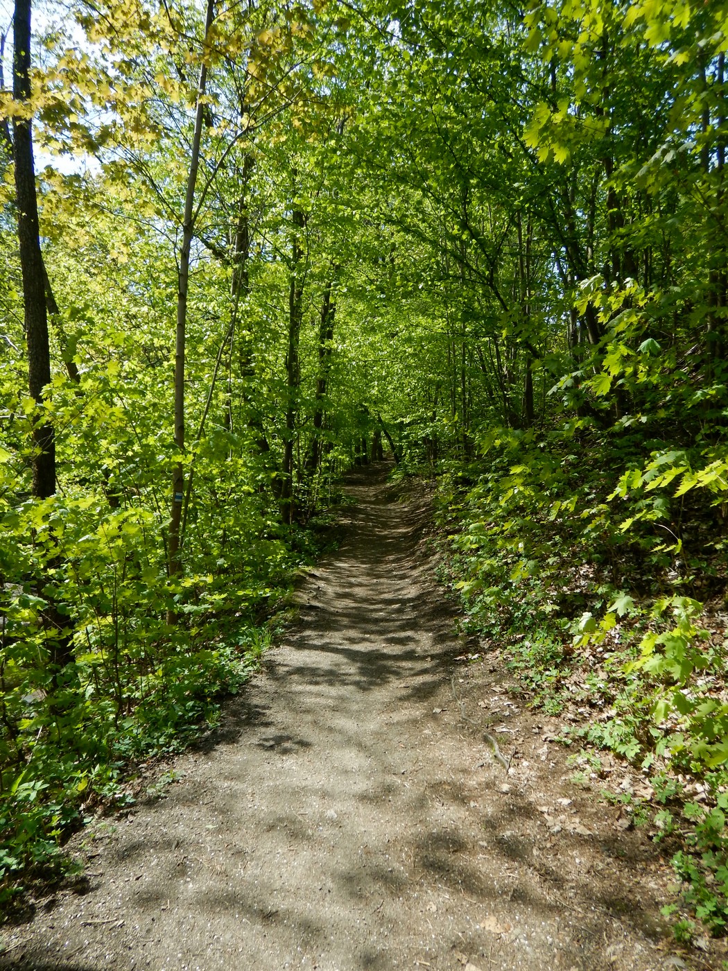 20250502 Smrzovka (14)