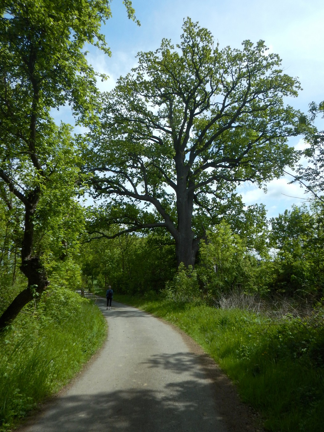 20250518 PPP (19)