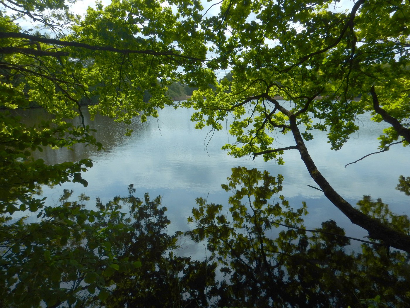 20250518 PPP (22)