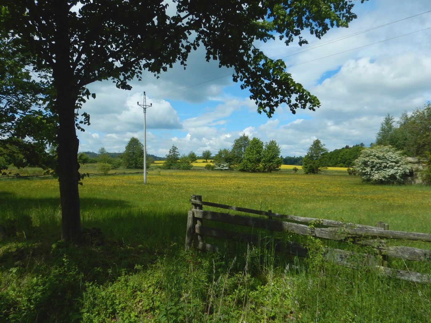 20250518 PPP (24)
