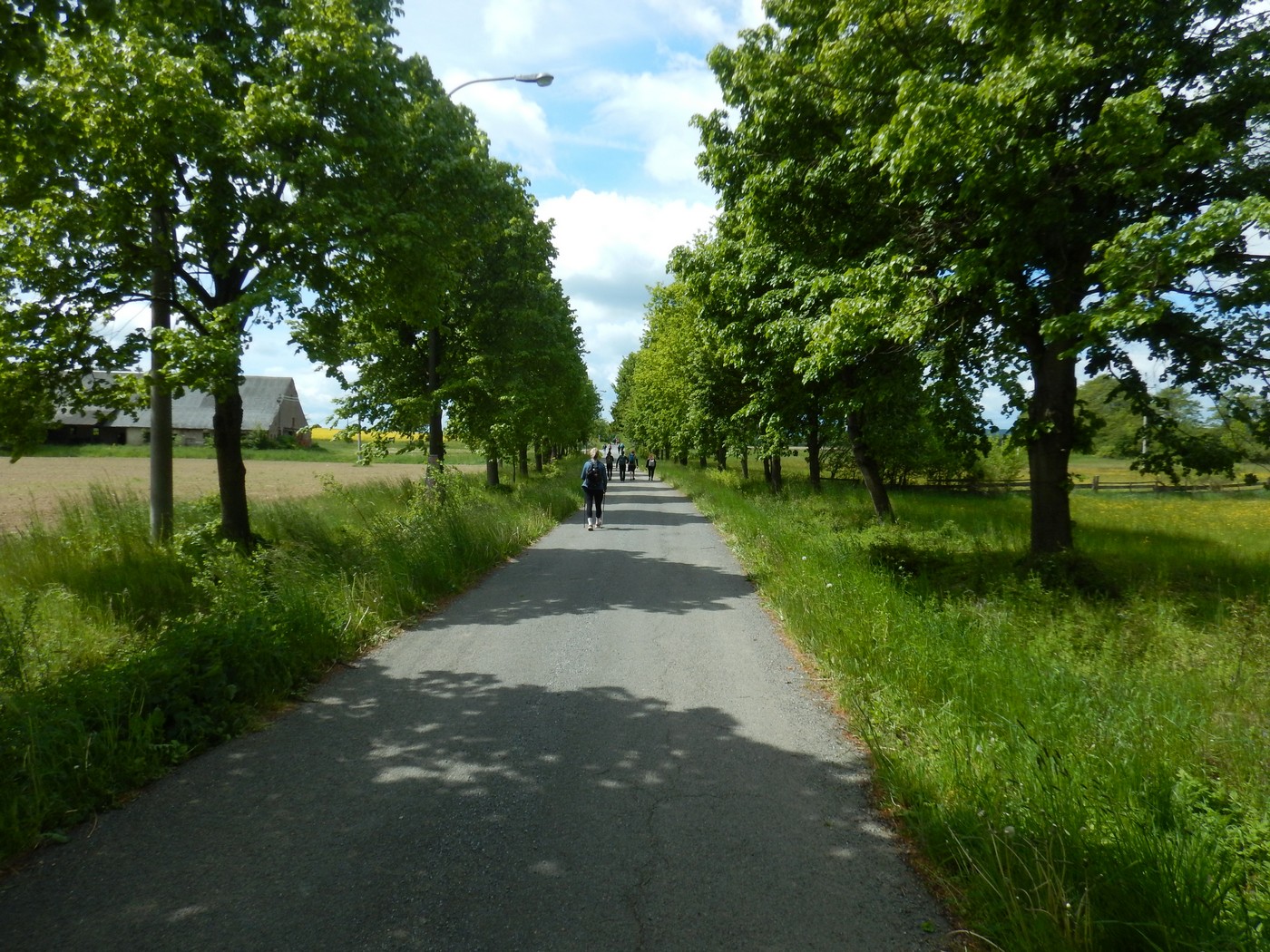 20250518 PPP (25)