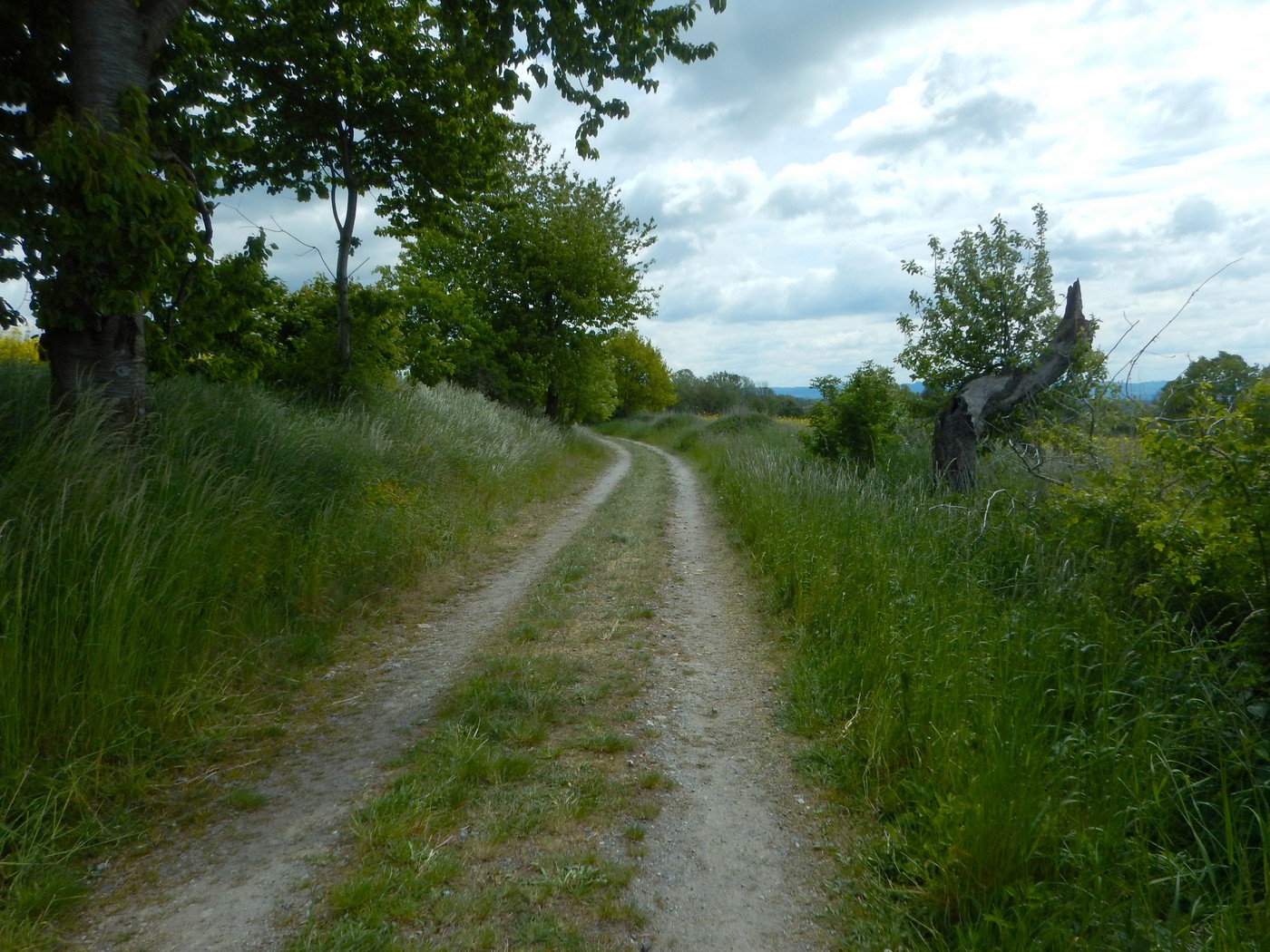 20250518 PPP (27)