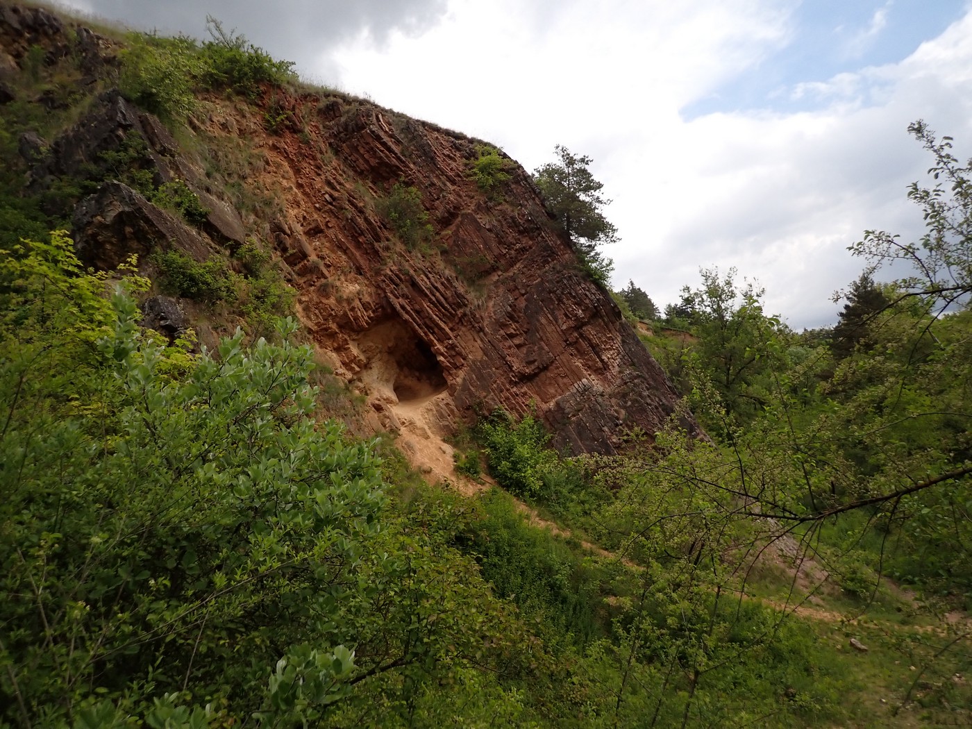 20250516 Prokopak (1)