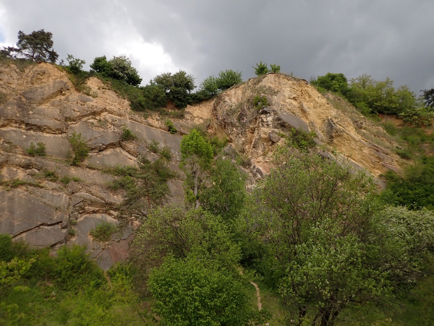 20250516 Prokopak (3)