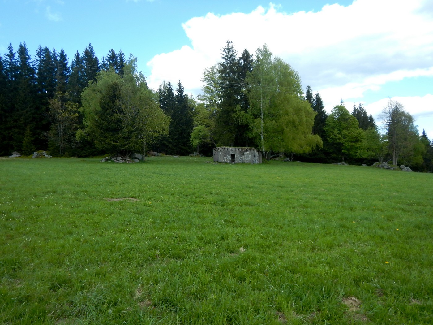 20250509 Korenov (2)