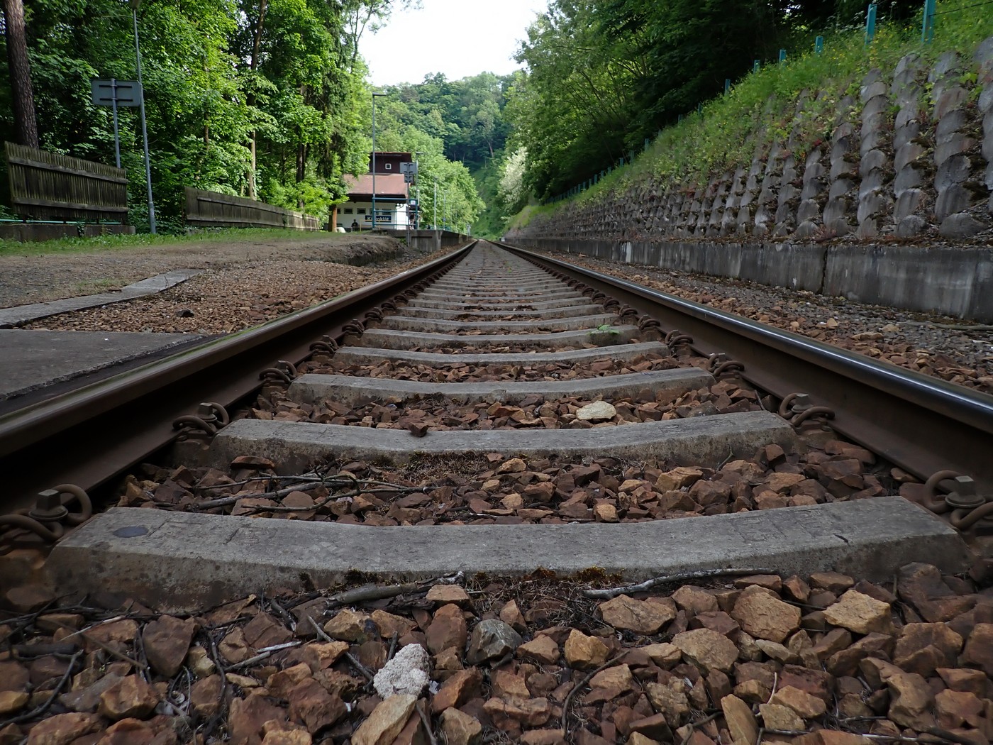 20250601 Krivoklat (26)