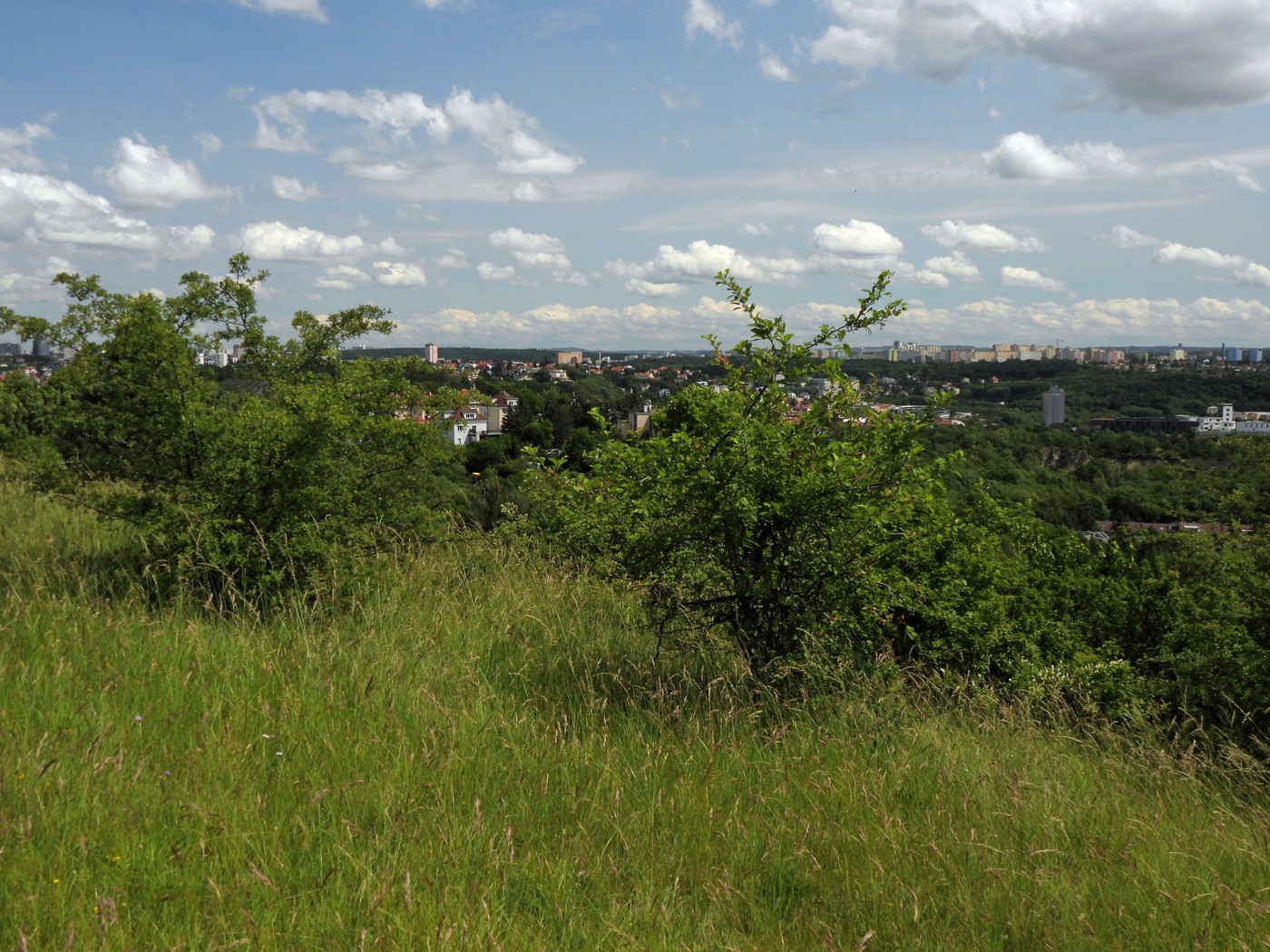 20250606 Prevalaci (11)