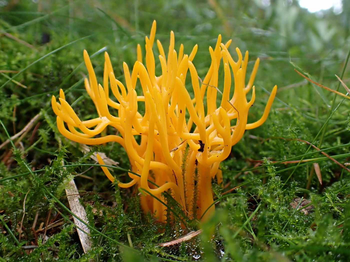 20250829 Myko Harr (11)