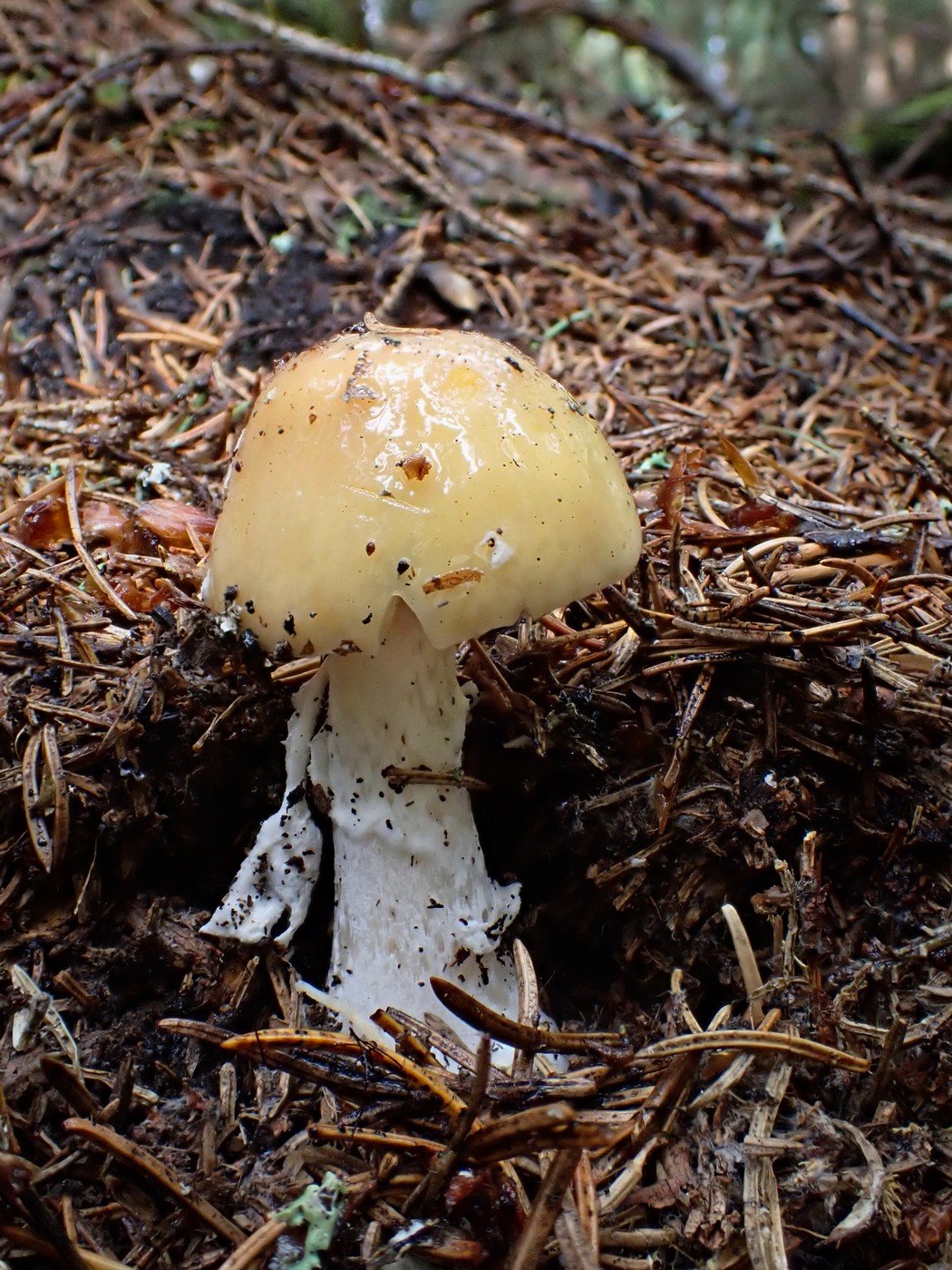 20250829 Myko Harr (12)