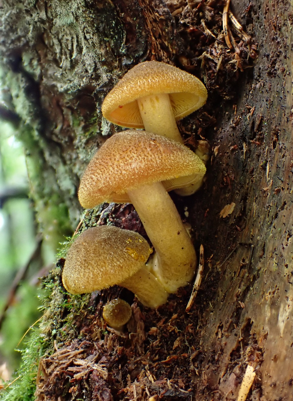 20250829 Myko Harr (13) (2)