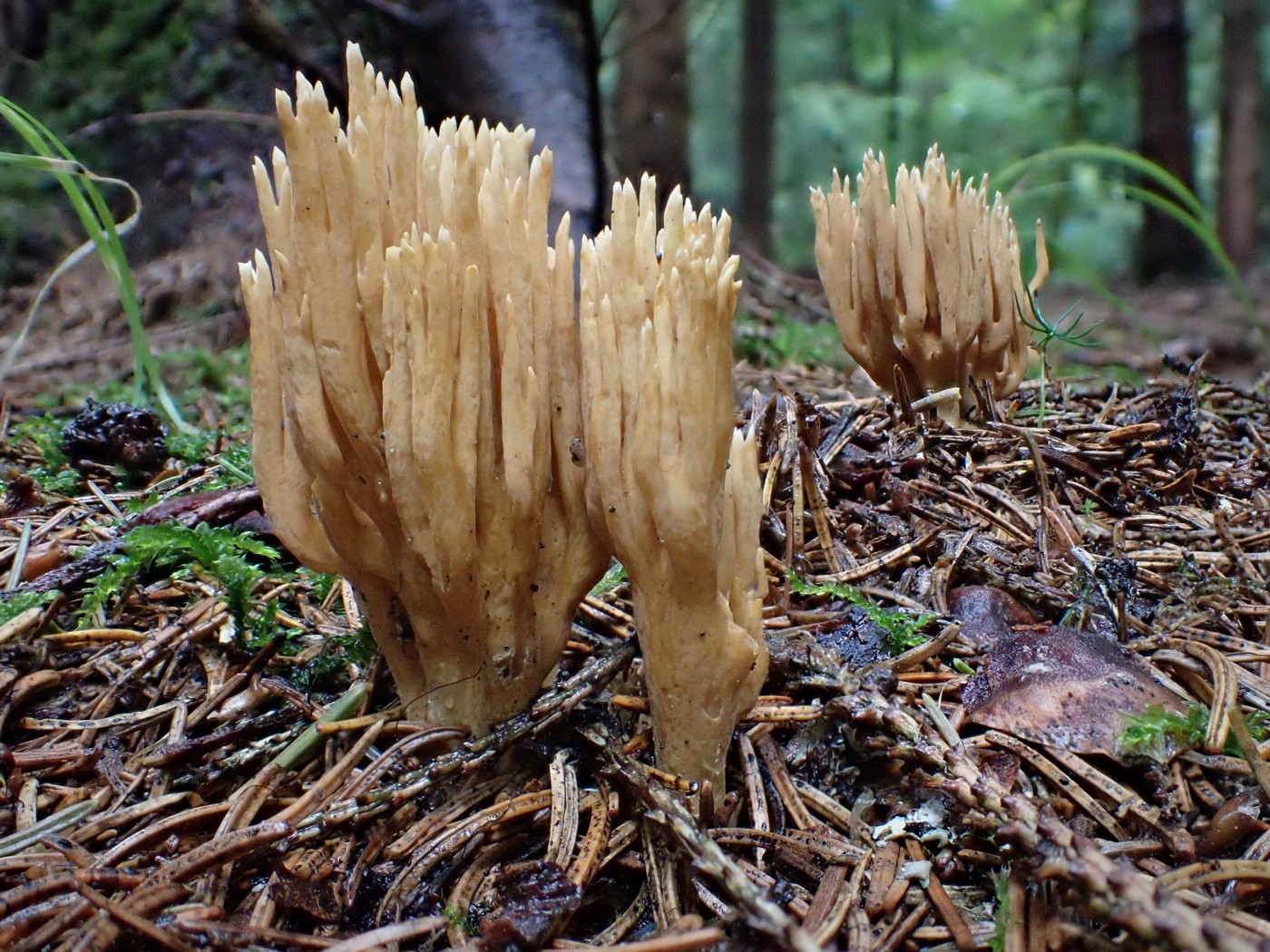 20250829 Myko Harr (13)