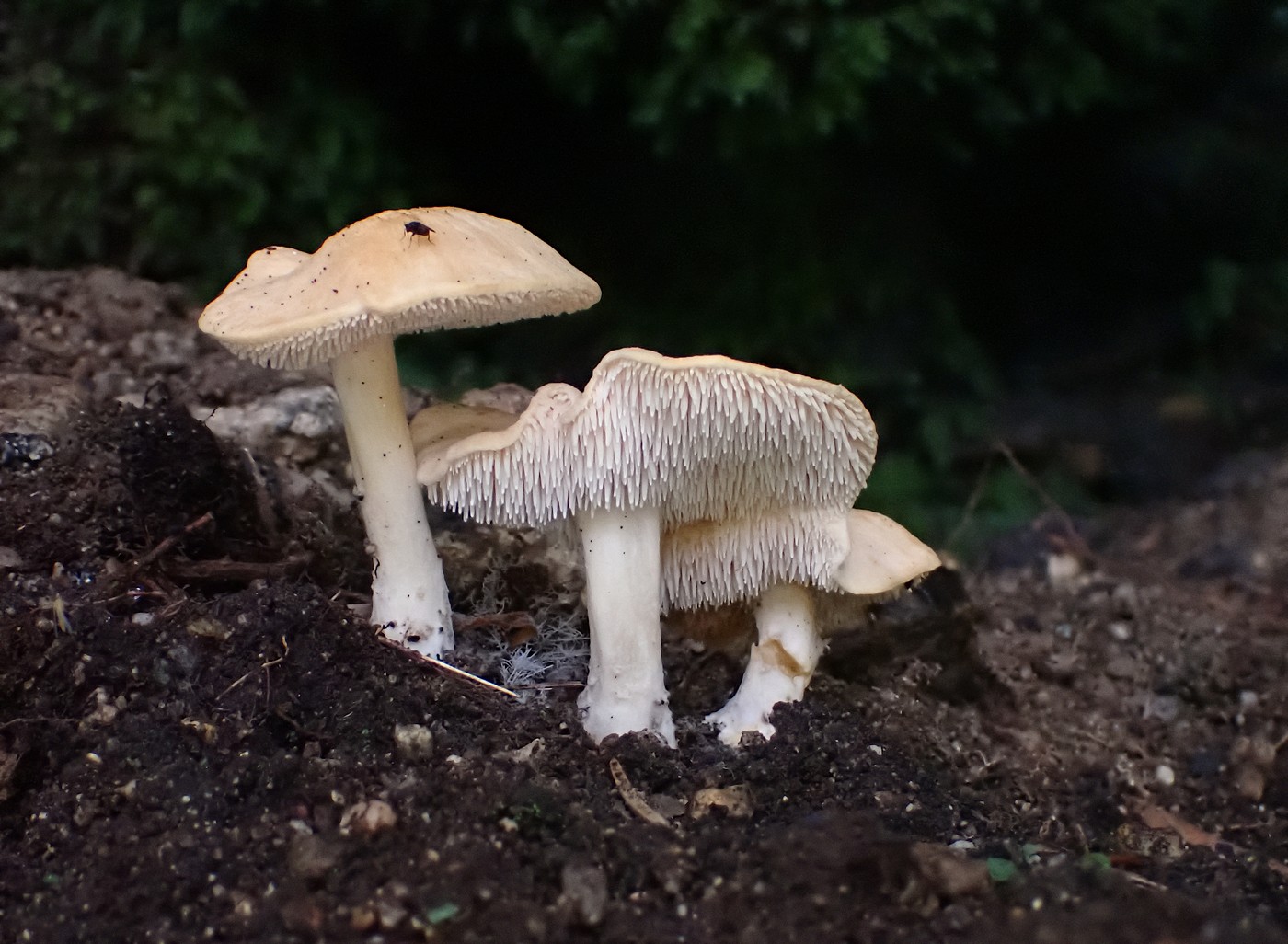 20250829 Myko Harr (14) (2)