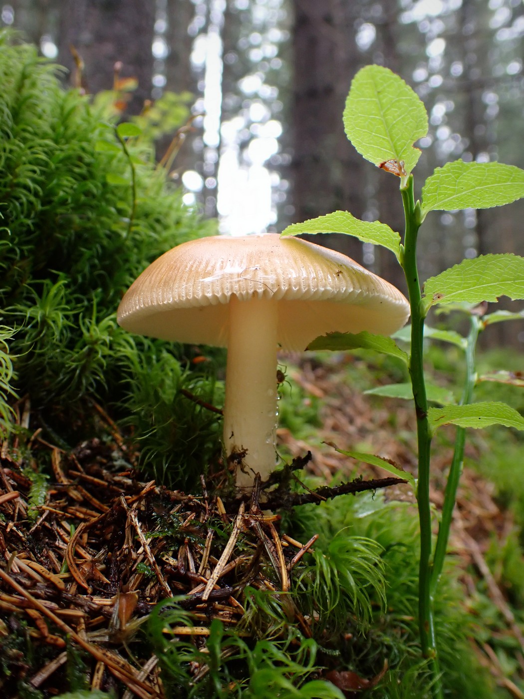 20250829 Myko Harr (14)