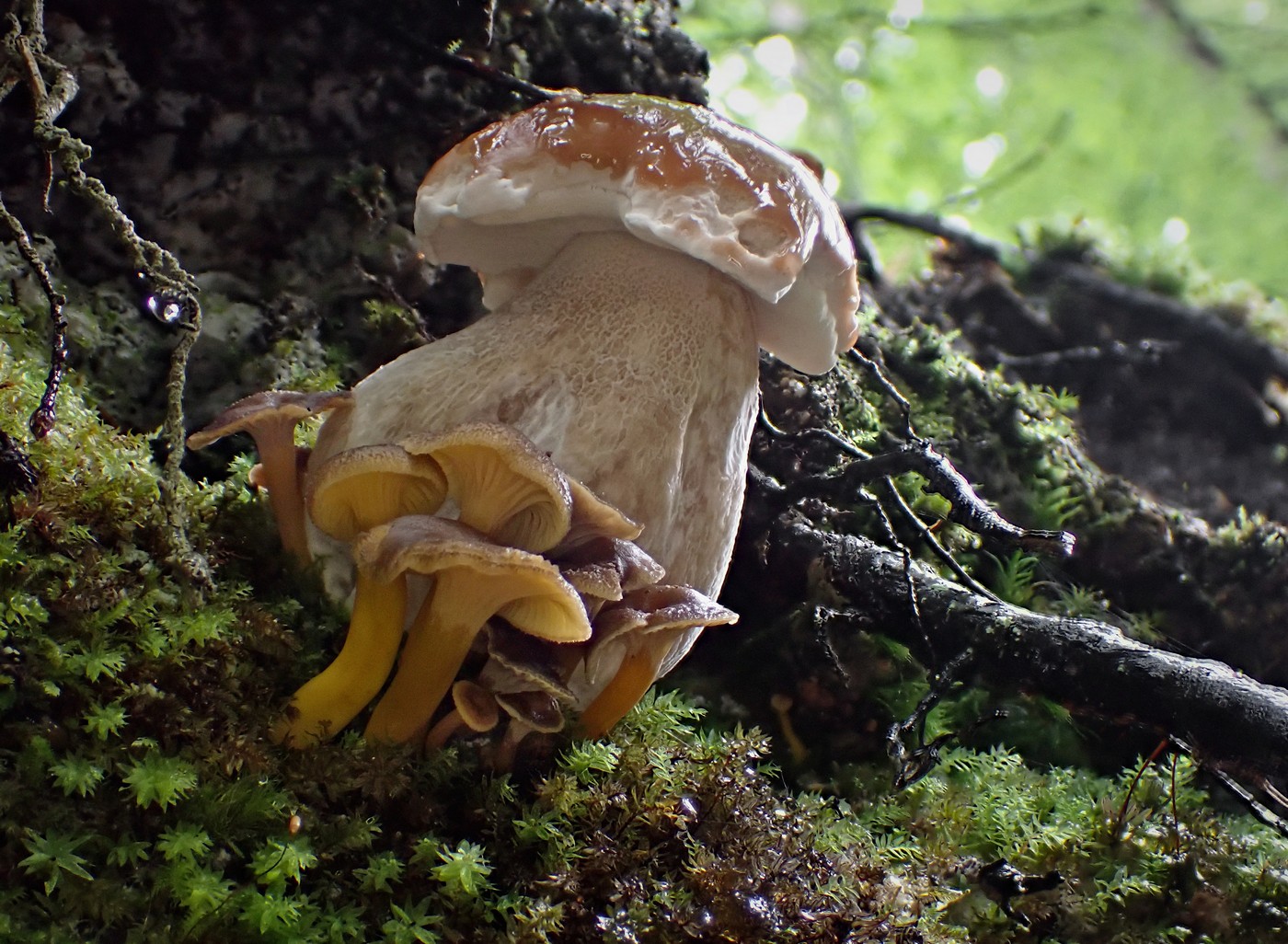 20250829 Myko Harr (15) (2)