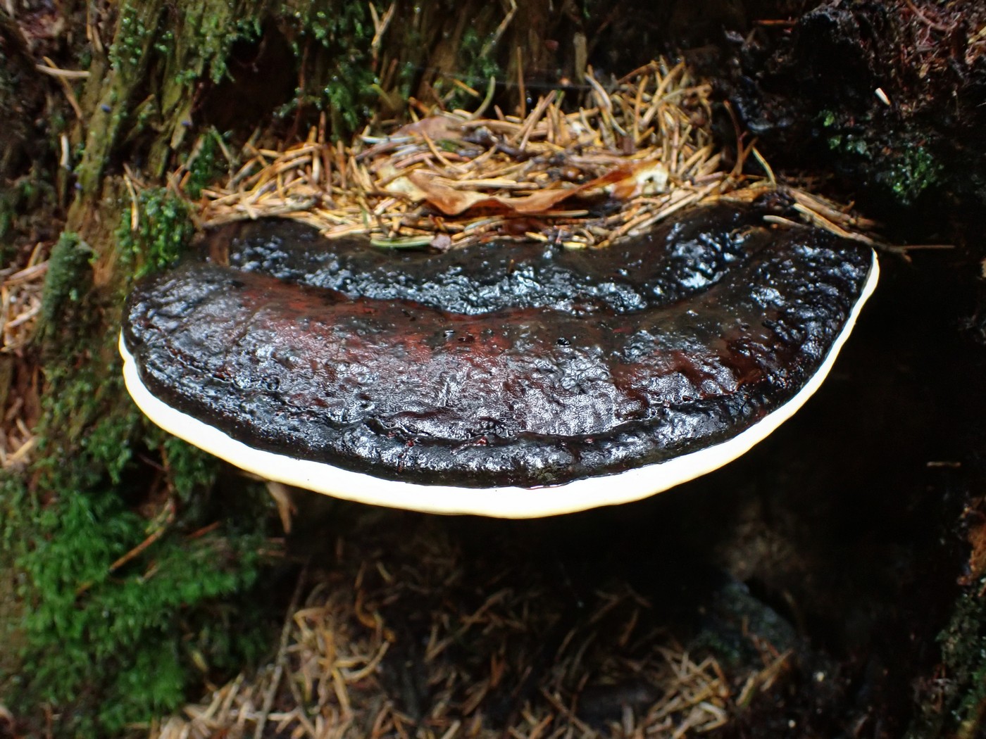 20250829 Myko Harr (15)