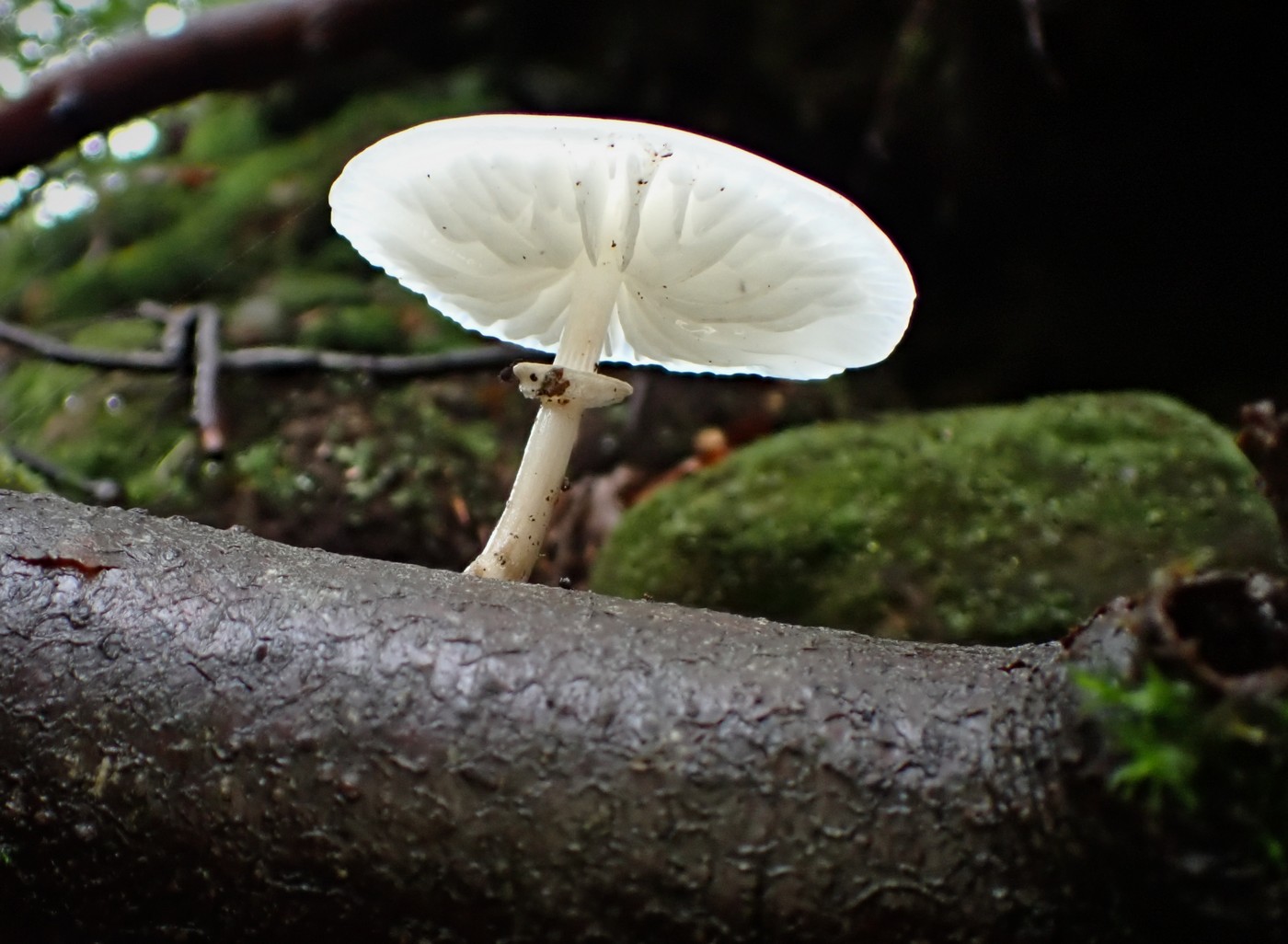 20250829 Myko Harr (16) (2)