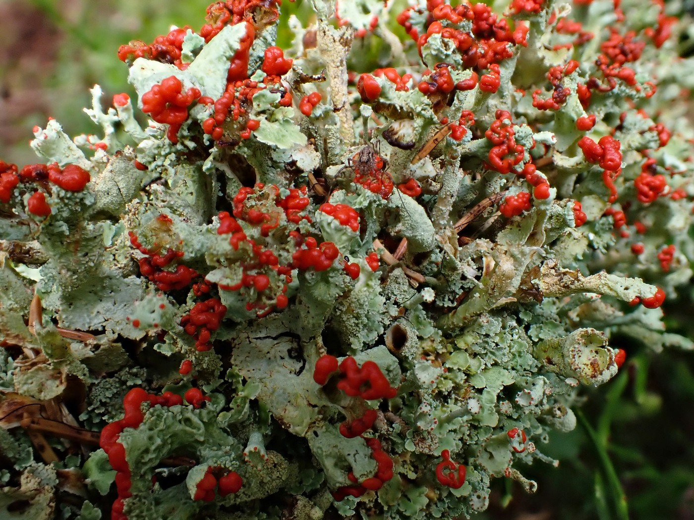 20250829 Myko Harr (16)