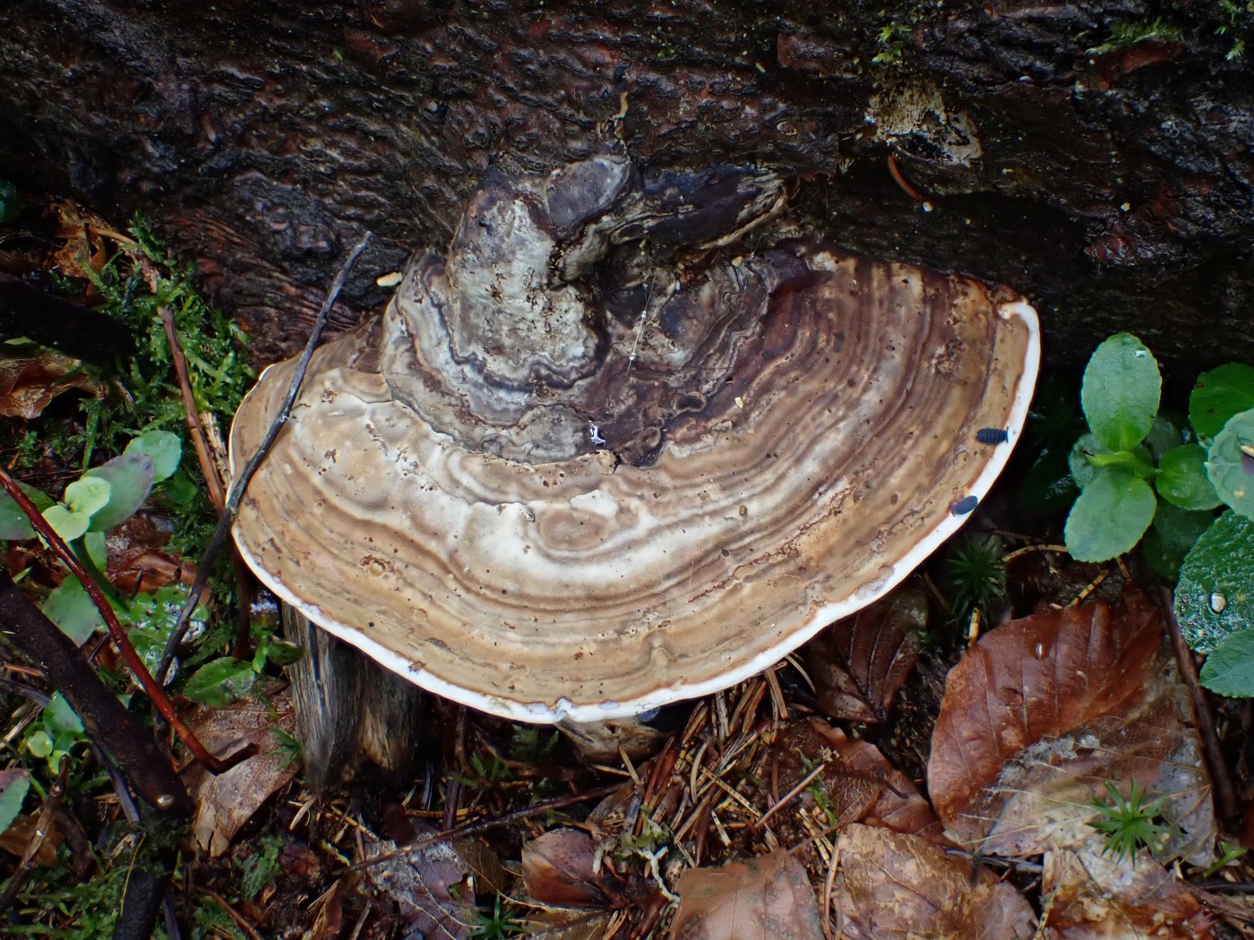 20250829 Myko Harr (18)