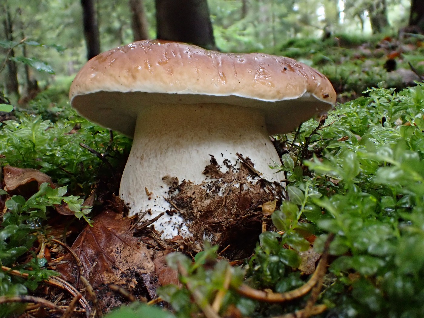 20250829 Myko Harr (21)