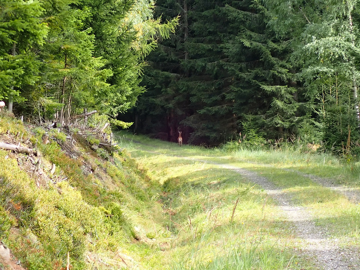 20250830 Myko Harr (12)