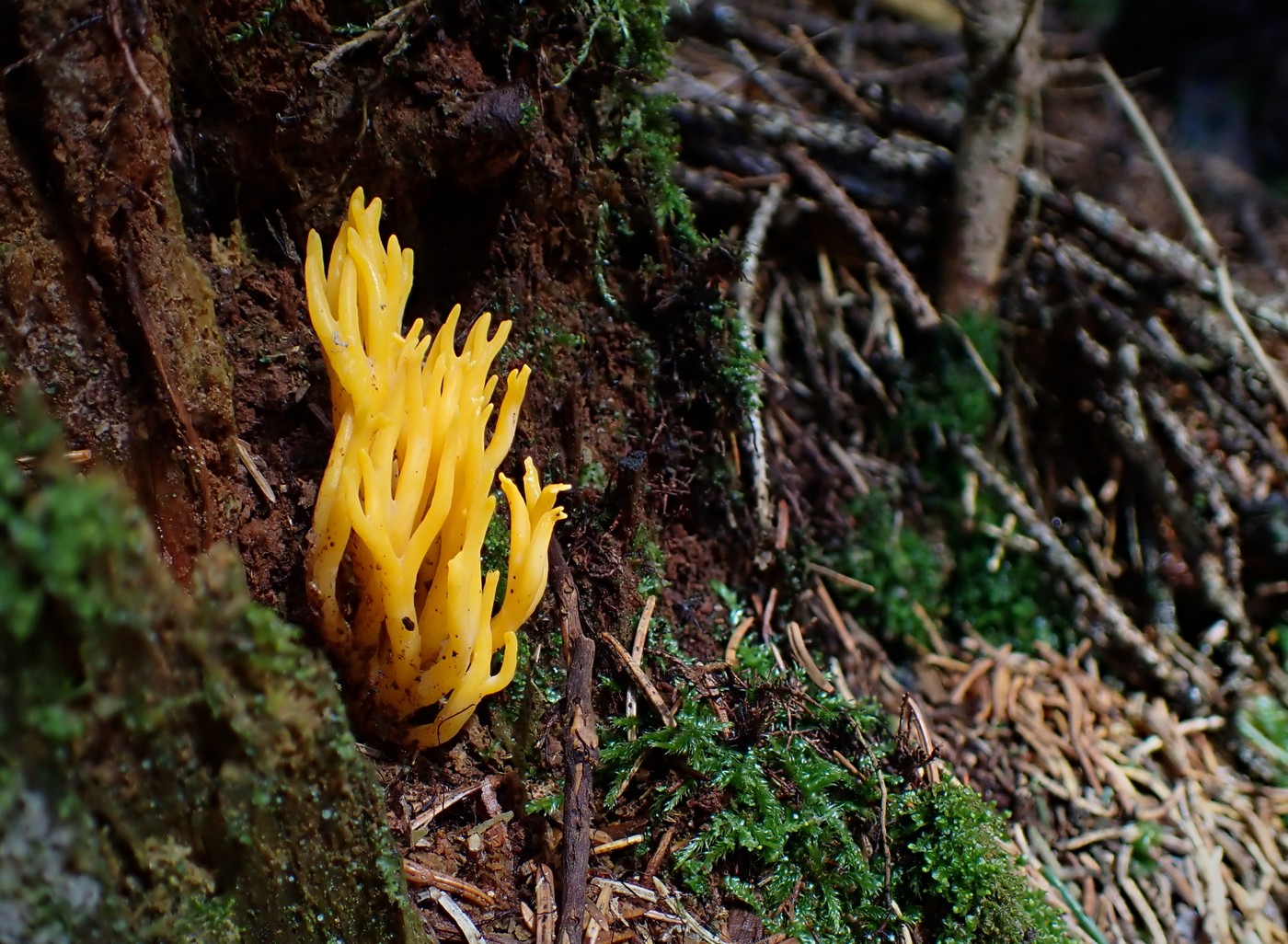 20250830 Myko Harr (13) (2)