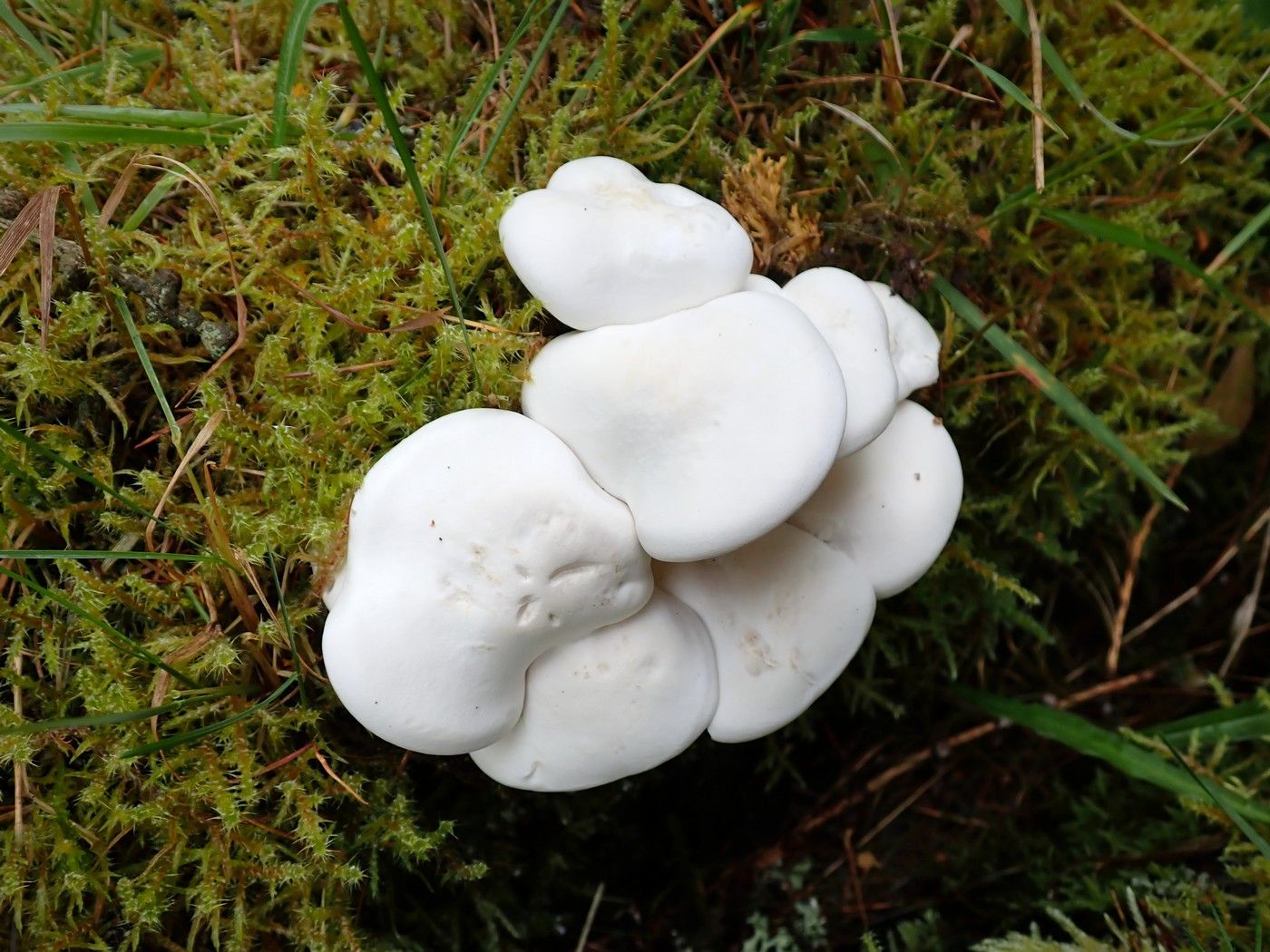 20250830 Myko Harr (13)